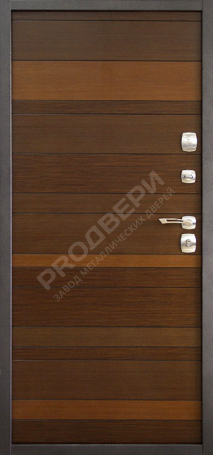 Фотография «Дверь Порошок №51»